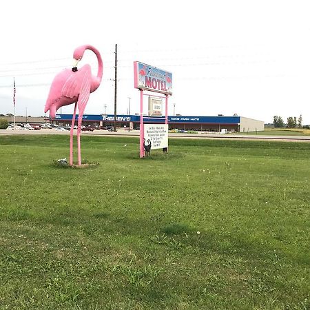 Flamingo Motel Marshalltown Exterior foto